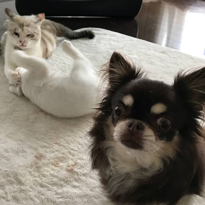 E861fbb7 206b 4f4d 9704 b12fb684e4be 1508555567298