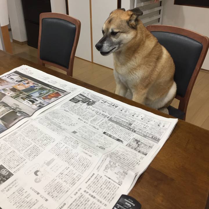 E86202b2 989c 4dad 9342 df57d755b7df 1521191984946