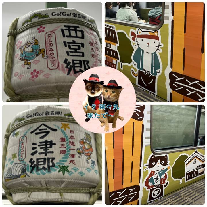 E86209c2 4701 4f16 9f02 1c95dd74dd7b 1636193412153