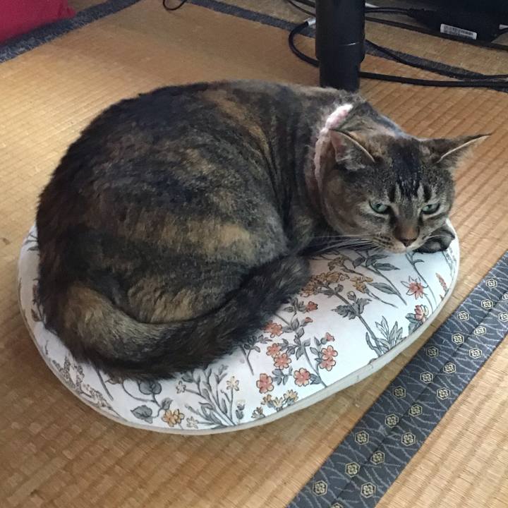 E8622391 c425 4a5b a9c5 5b1908b95442 1723196483647