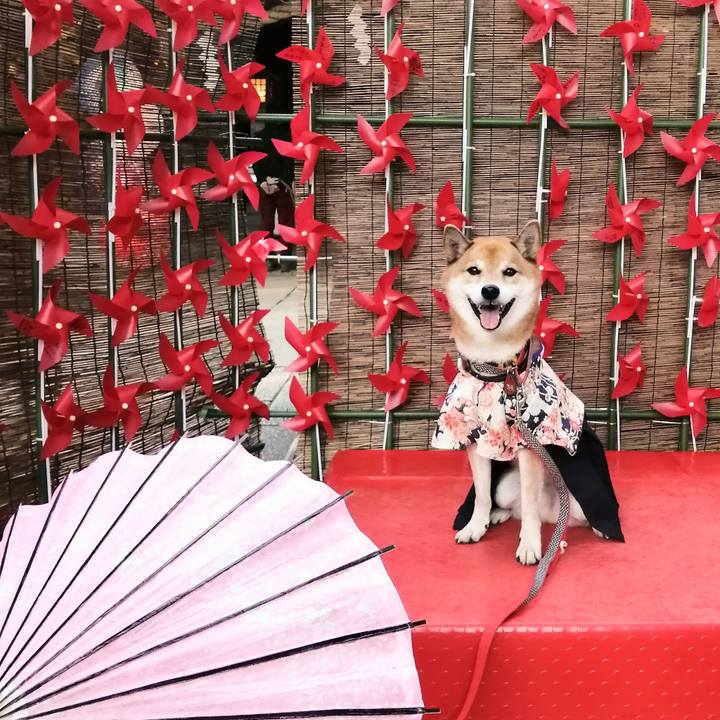 E8623404 774c 4c7a 9299 8d1c3873522a 1605424580378