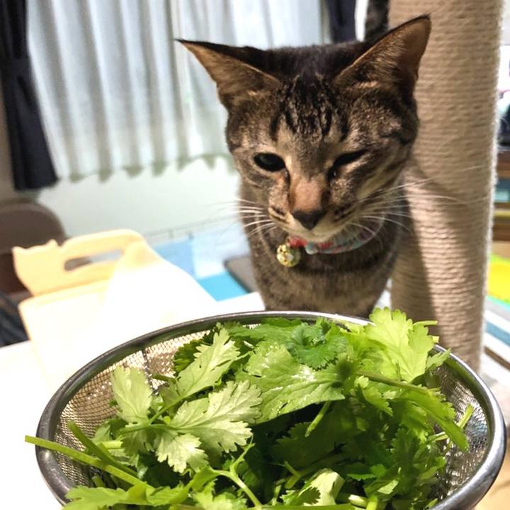 E86242ca f88f 414f 97b1 c010d296e35d 1543837750723