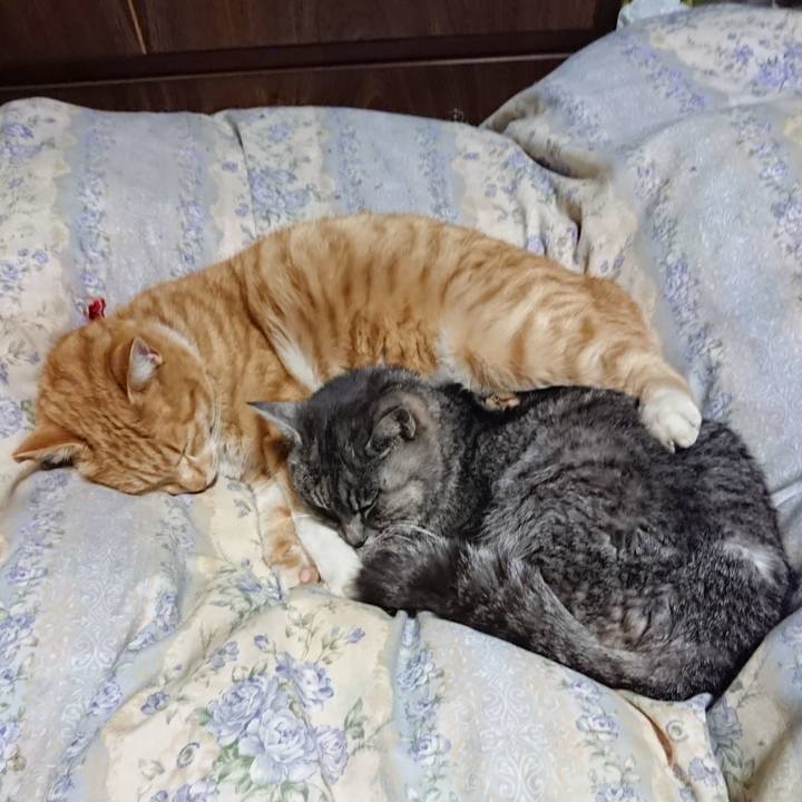 E86258fe 9c2c 44e1 8d79 d023bc289902 1579697429981