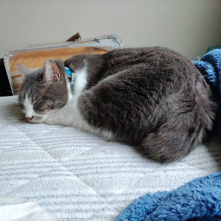 E862657f e372 43e4 ae8d ceb646601ccf 1715579917799