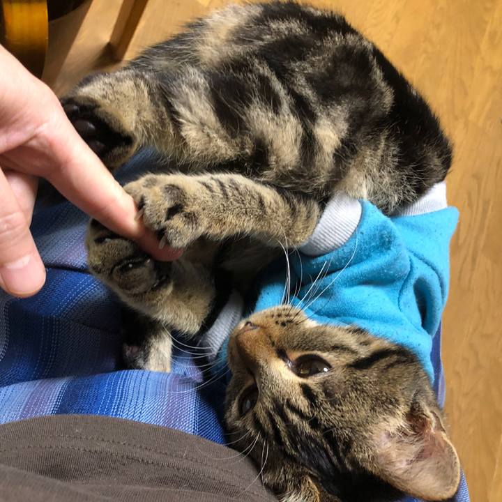 E862d676 5167 4708 a4d1 18d1b998aff1 1739706015472