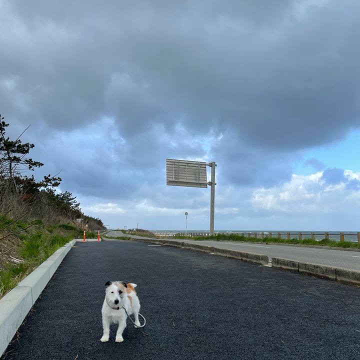 E8630d75 2fce 41f3 83bd a6232f1a74c5 1618699323854