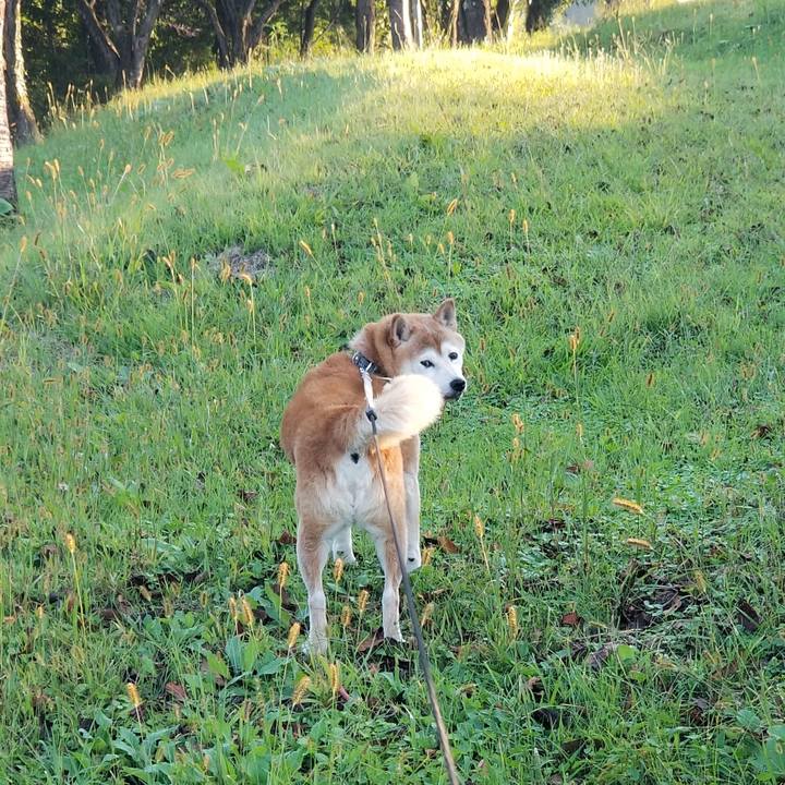 E863109b efb2 4dcf 84e7 cefd6cbae7bb 1664609455276