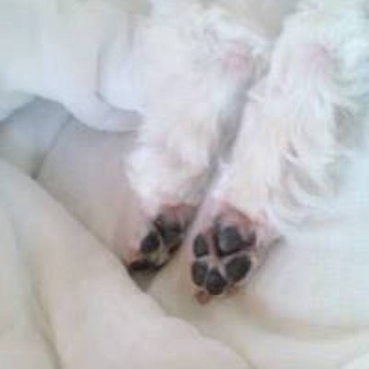 E86372e8 cc55 4ece a7f9 b5d1243b9432 1731298264680