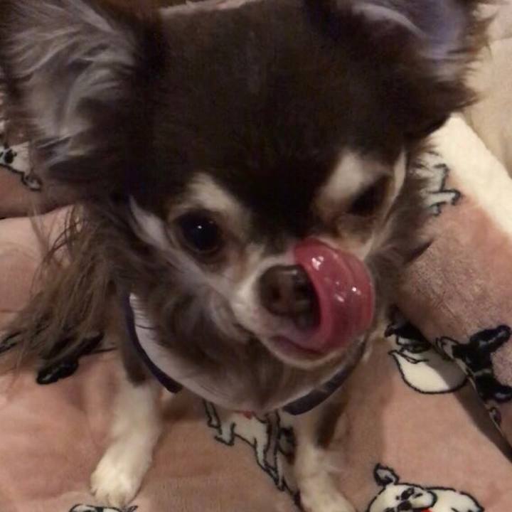 E8637a32 86bb 4fcc 90d8 96364ff439e2 1512873590143