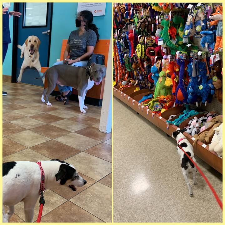 E863b207 38a0 4f4e b529 63ee63fcacac 1596839219927