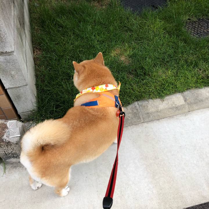 E863b548 dc17 4b65 adab ba0fdee46832 1595943952442