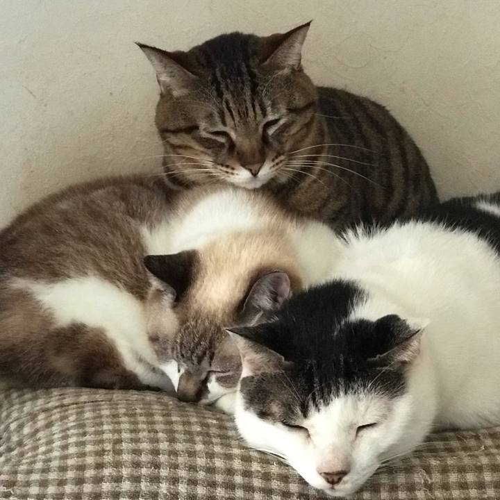 E8643fd0 18cc 4ea9 bfa2 9898b2b6c6ef 1544332545193