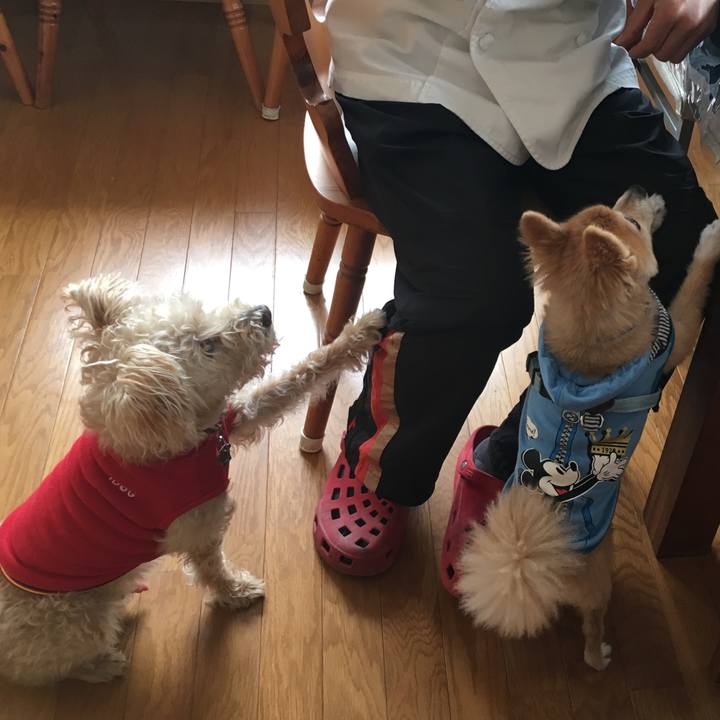 E86466f4 2980 4e21 88e9 8d19f3d6da97 1542062372895