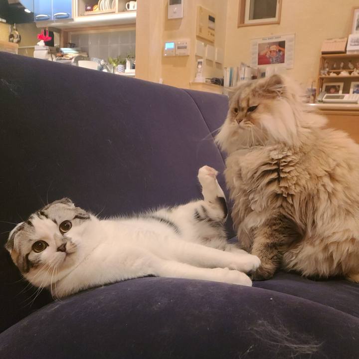 E8648d8d a7ef 4894 98a1 de036aabb3ee 1640163564854