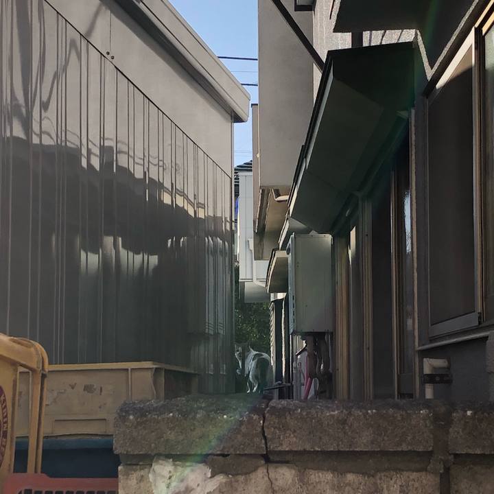 E86498fa 9130 4e2d 8252 b04508e3e9b9 1550750643160