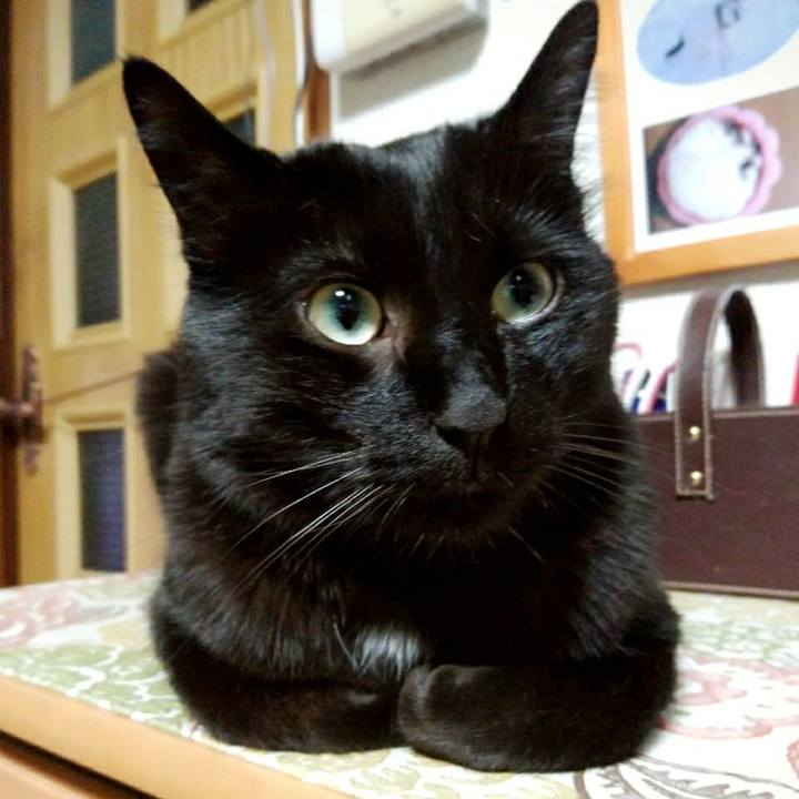 E8649a98 4bf7 4f49 9337 e6bedfd598d5 1586519587005