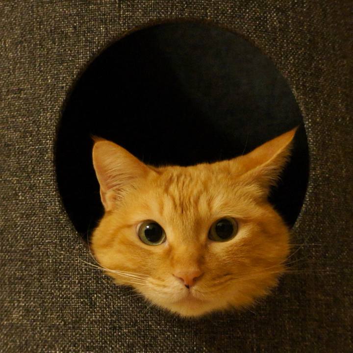 E864c359 98c8 41c3 8582 04d64e4240d8 1759182011469