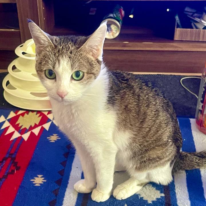 E864f263 6e8e 4e32 8d7c b44fe8826afa 1638925127614