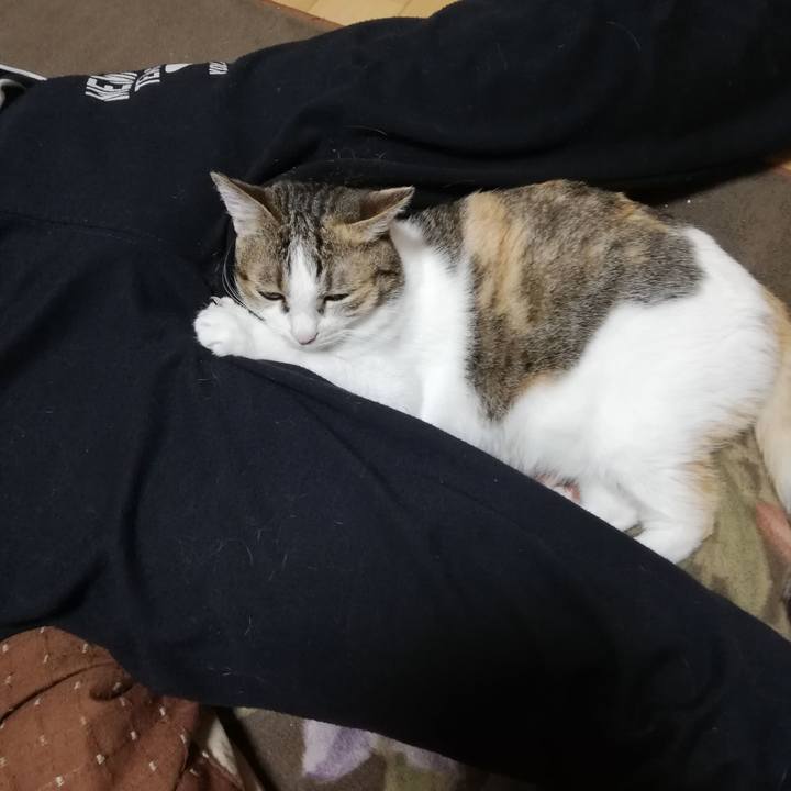 E864fced 63ba 4779 9a69 32df52ff0939 1715382451217