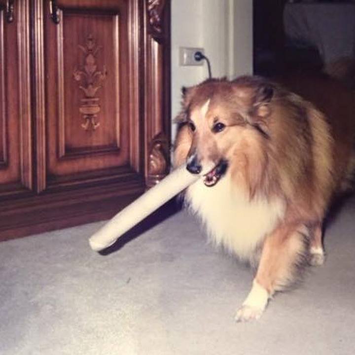 E8652a41 36f3 4d66 aa4d f9ecae4d721a 1560503789138