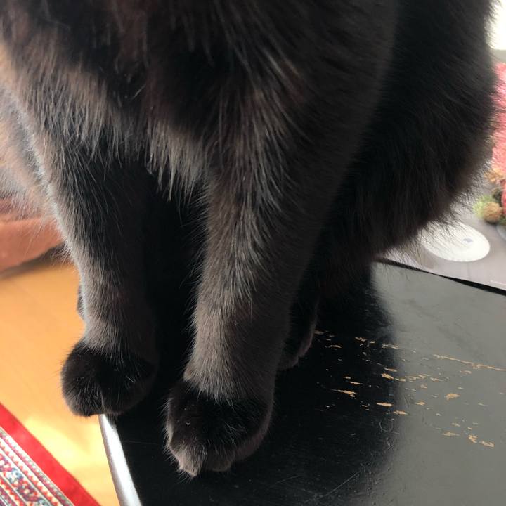 E8656964 4836 4ccd bdc3 54c499cccc75 1543113994187