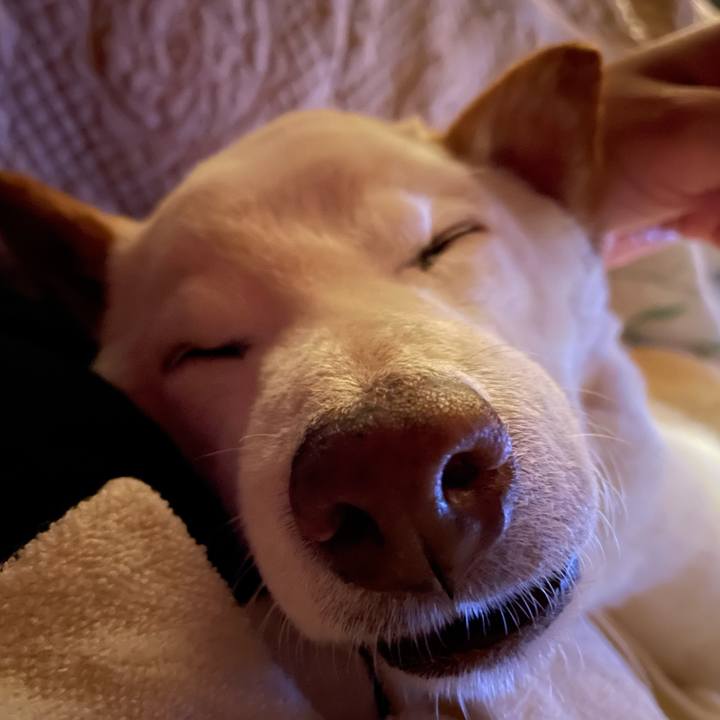 E865923a 42f1 41c8 94e5 ba9fdf23503f 1656435091727