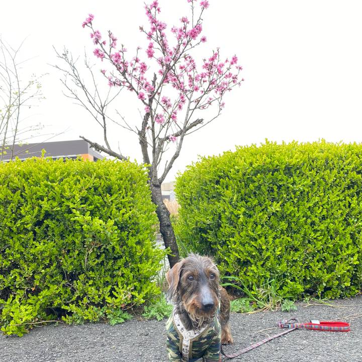 E865d1b6 e98c 4a85 9f41 c8d5f9e46986 1616226069930