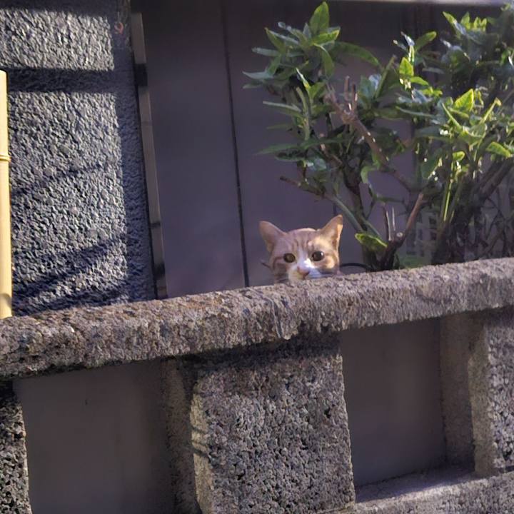 E865da20 eefd 4a9c 8e83 ece599d27aa1 1703927784414