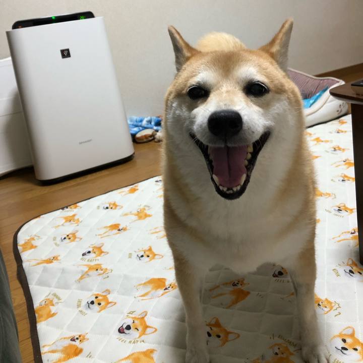 E8661bcc 0f31 48f3 8db6 a05281dedd93 1563874287834