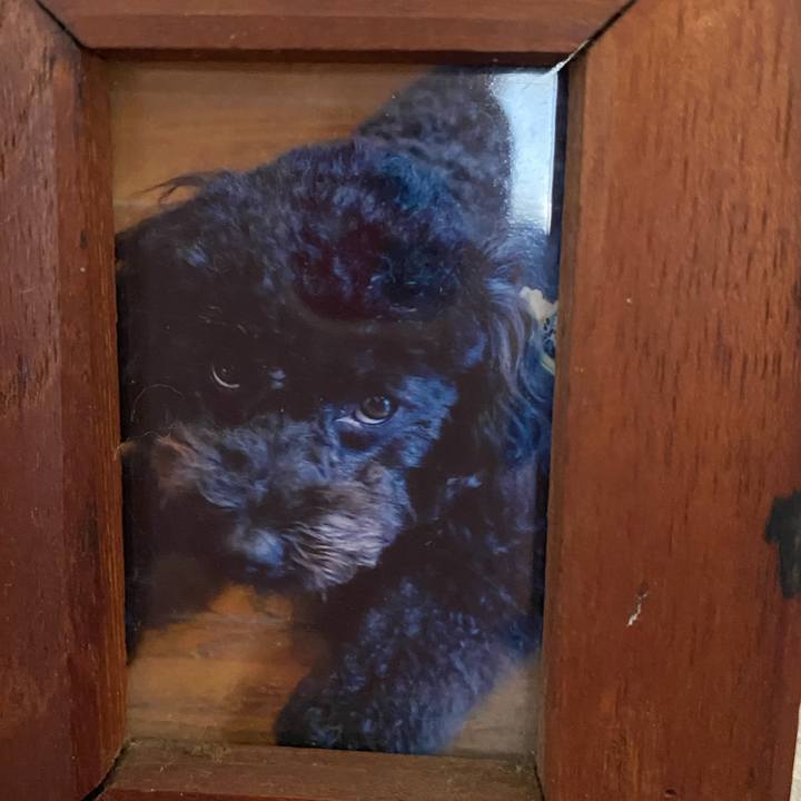 E86629f8 f8db 4246 ae59 2a36c40838ce 1663292963596