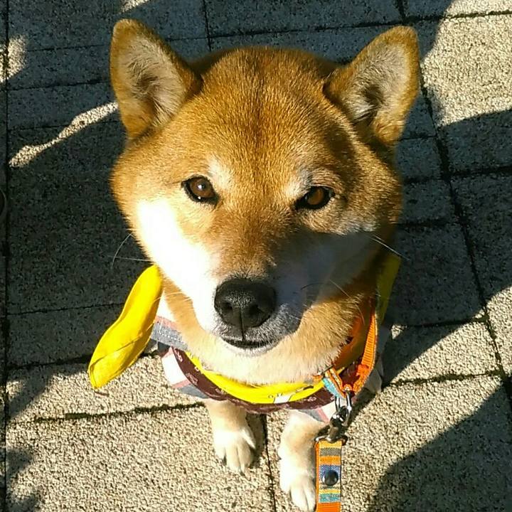 E866434e 9c1c 48c1 84fe 10613712aa22 1579414142890