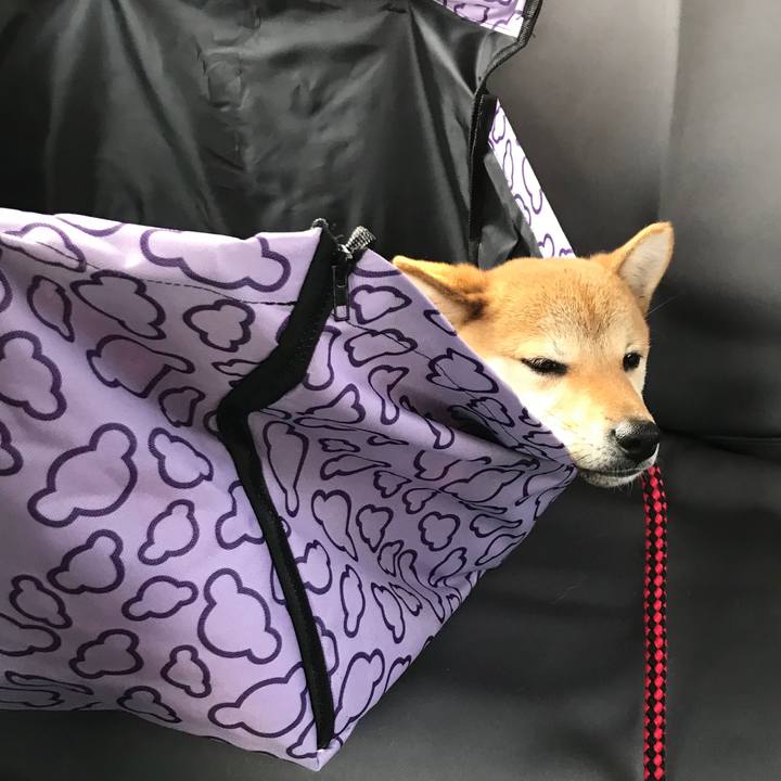 E866524f e2db 4dfc 843b d8cba3ce3497 1519548354438