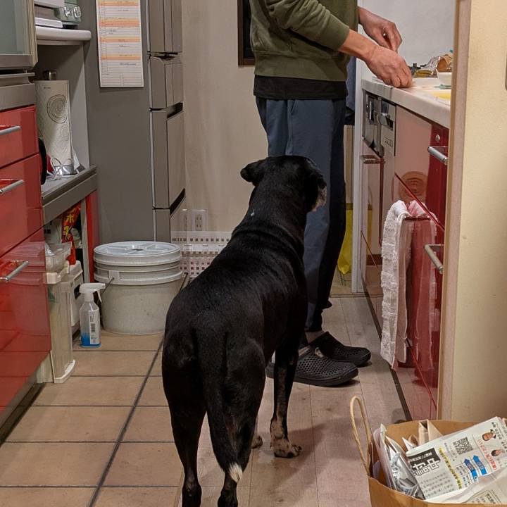 E8665927 9d17 4bfe 9ee1 726b86063d90 1737802810075