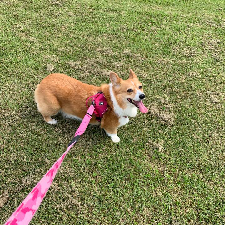 E8665ceb cd41 4cbe 89e8 b31d4c1e9181 1653005778984