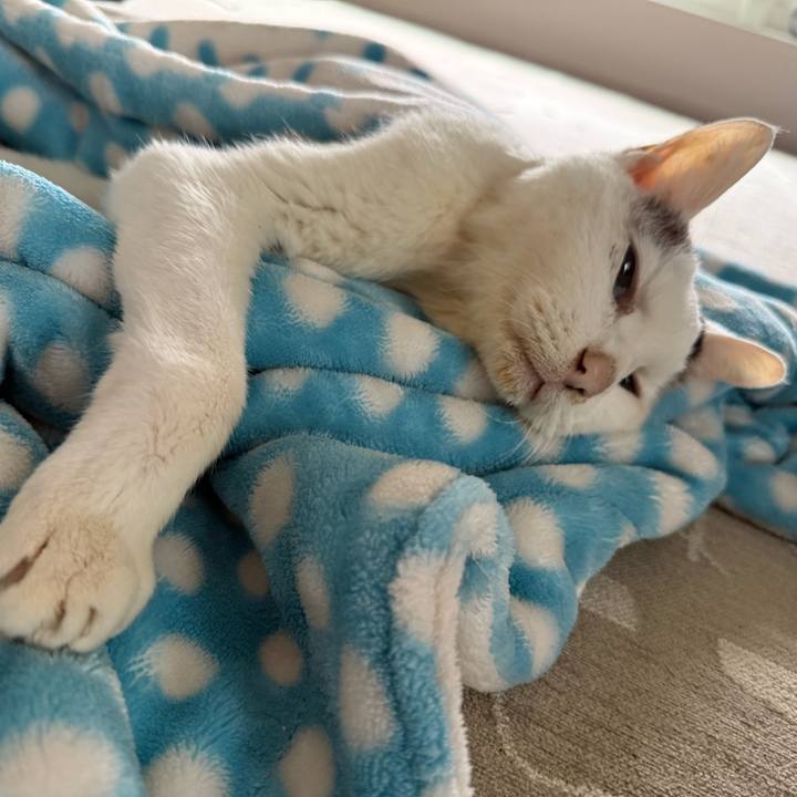 E866a453 f445 4f15 ba9e 1309cc0c4f7e 1771049100835