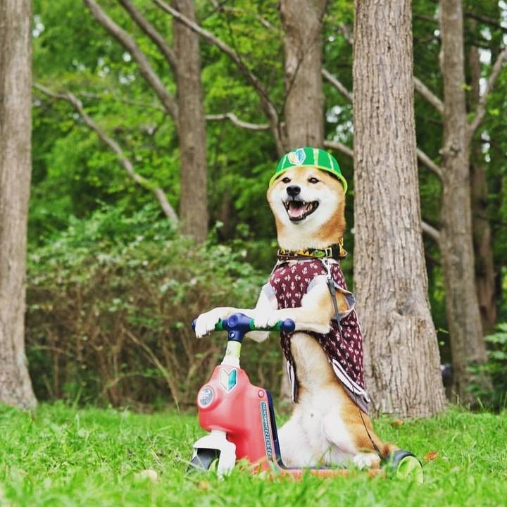 E866c764 70e3 4906 92e3 f496c375c8fa 1601857666262