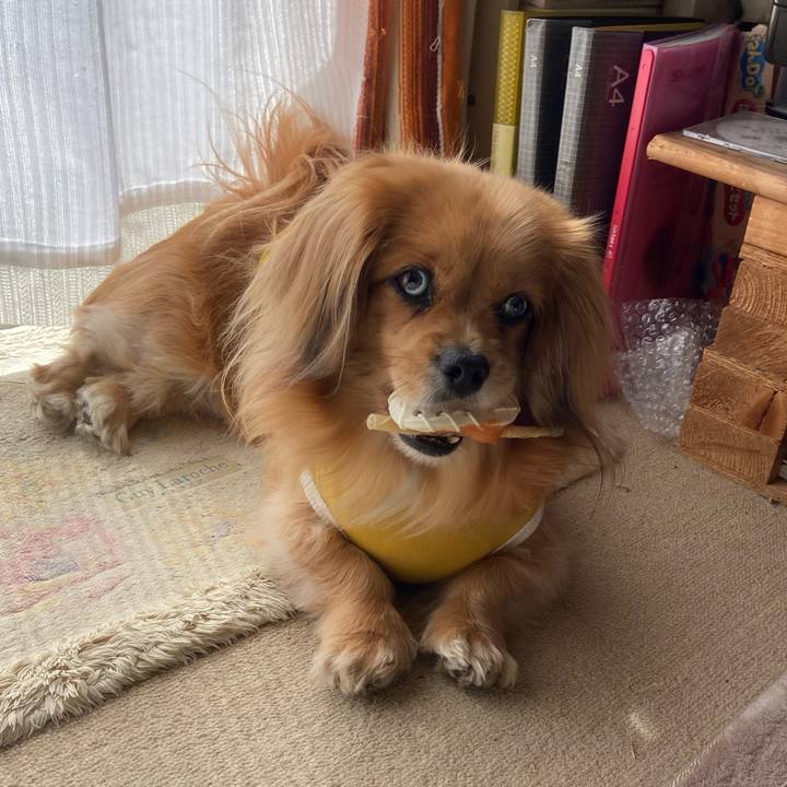 E866e24d 3e9f 44c1 a309 ef062608ced7 1614562369719