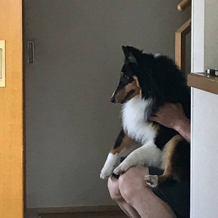 E866f830 01f4 4d4b bafc 6c5f8148aa4e 1530314715123