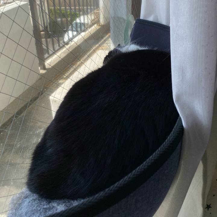 E86788d6 8df2 4ad5 93c0 e765245ab027 1634999824609