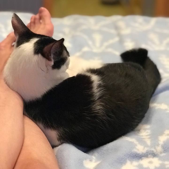 E8679340 1173 46f8 985d a7658c7f2af3 1509246676601