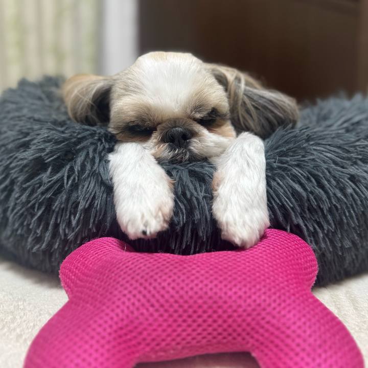 E867c830 2cb6 476f 9a26 594b4c5a7288 1753455310410