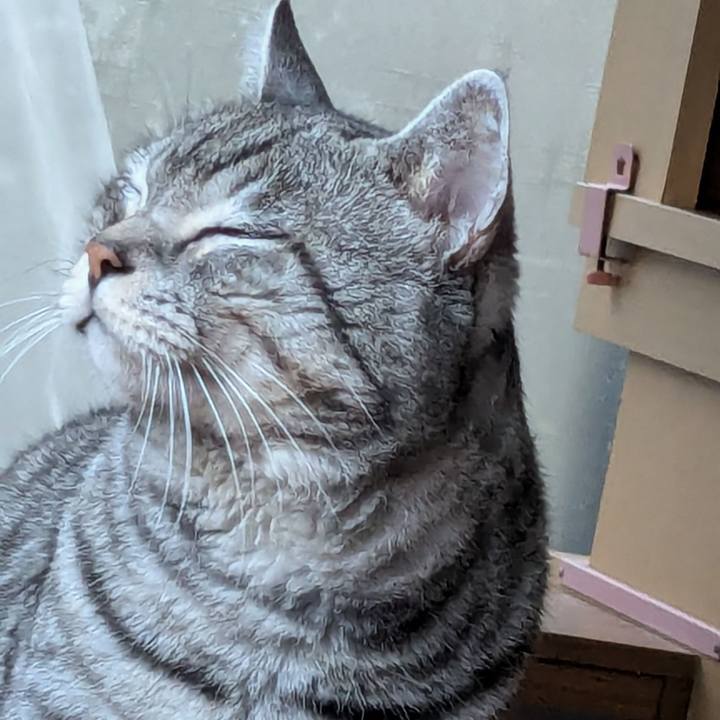 E867cb09 e637 4a82 9c82 95f8b6b0bb8d 1730363071776