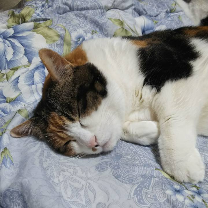 E867f639 82b2 409c aaaf 8e22ab88262f 1544446772244