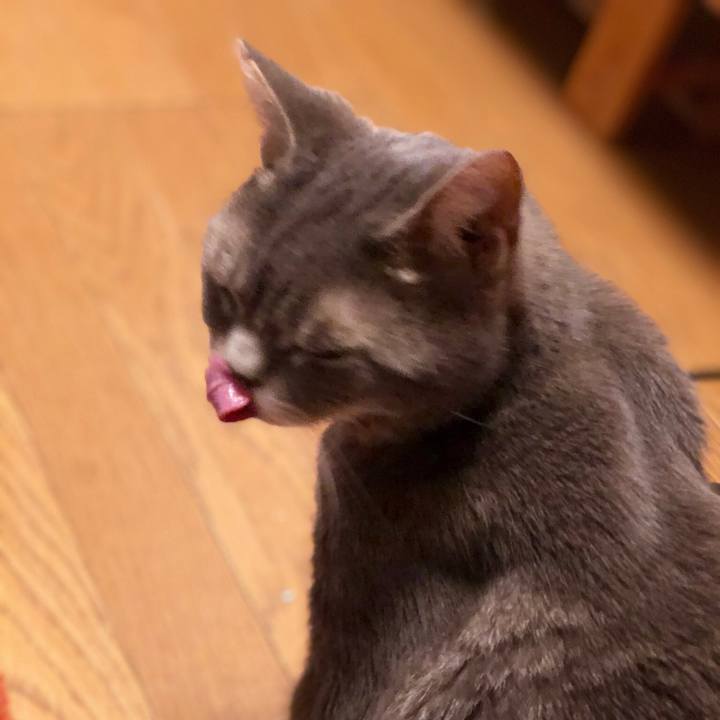 E868fda4 6405 4855 be0a 8389549fbe9c 1515681943687