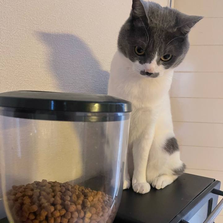 E86919c9 d38c 4fa6 ab47 4578dd961c2a 1651882959586