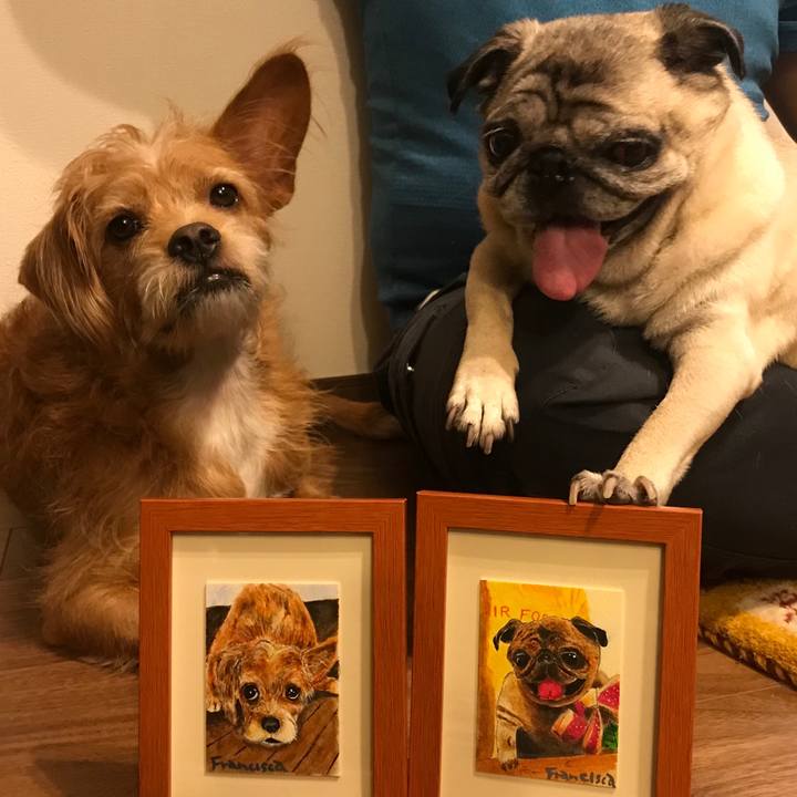 E8692248 f895 4a26 87e4 07eebc610e49 1601706416686