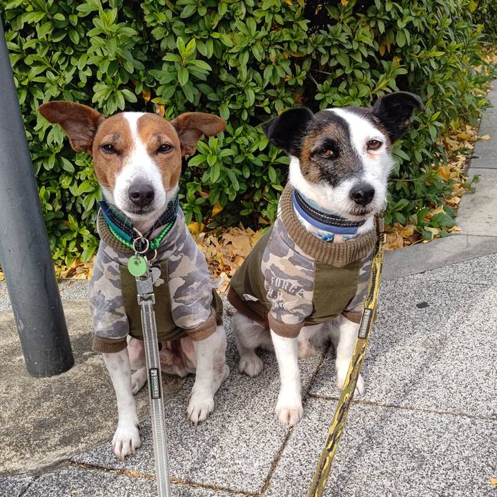 E86952b0 5eac 43f3 9c22 2dcfa30e0ece 1704245954958