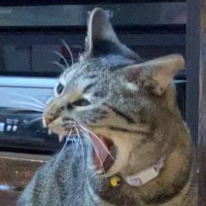 E869c06a 0ff3 424f 9624 8b8461abe0f8 1609685655287