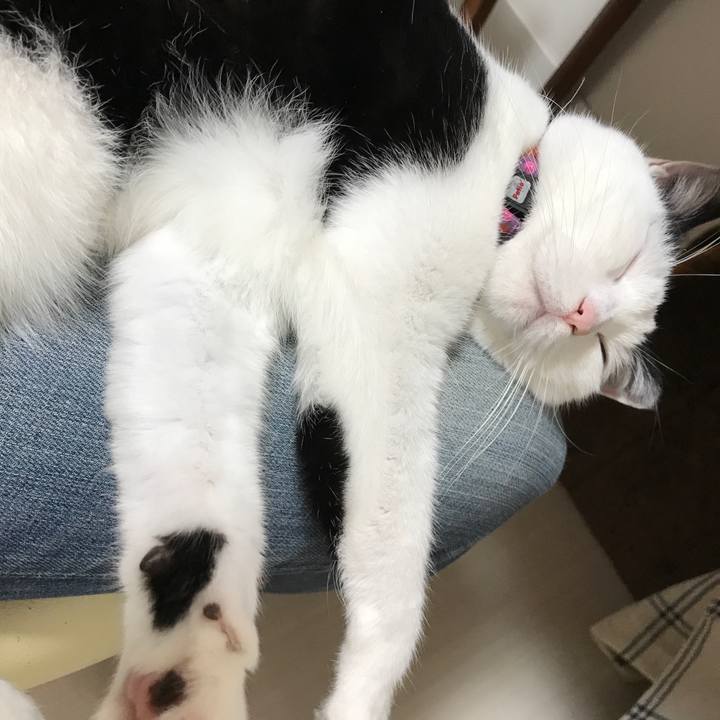 E869c4d3 87a6 4be8 9179 ad03ce44c881 1540297374405