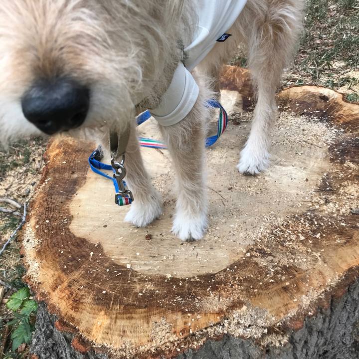 E869c6b3 ae37 47f3 9896 4afabce39048 1615279608879